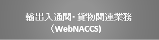 web11